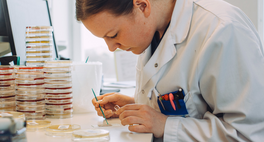 multi-disciplinary network of scientists